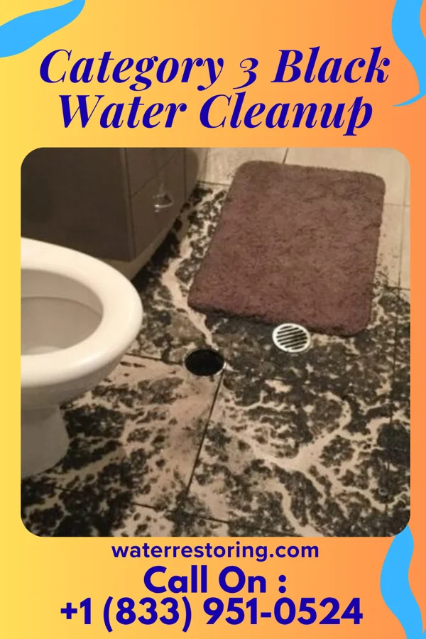 Category 3 Black Water Cleanup in Woodbury, TN